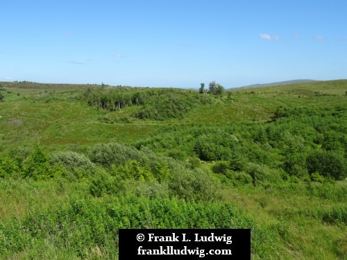 Cavan Burren